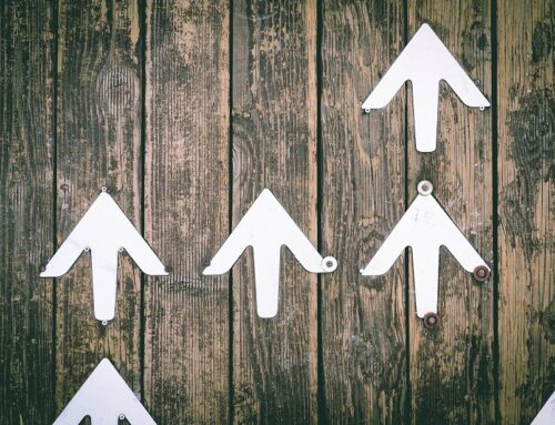 Latest annual stats show the SMSF sector continues to grow